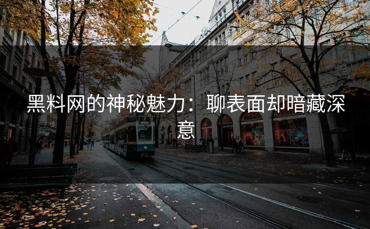 黑料网的神秘魅力：聊表面却暗藏深意