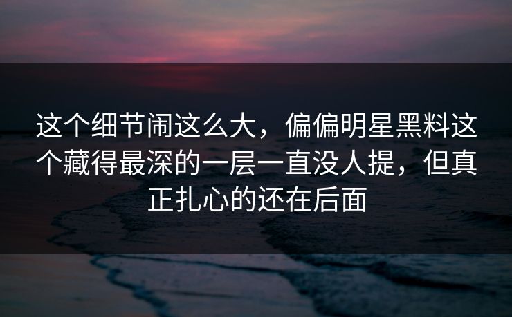 这个细节闹这么大，偏偏明星黑料这个藏得最深的一层一直没人提，但真正扎心的还在后面