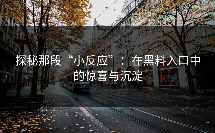 探秘那段“小反应”：在黑料入口中的惊喜与沉淀