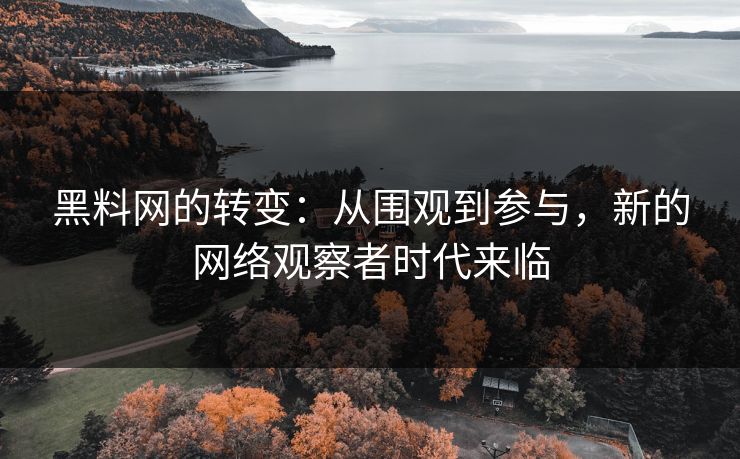 黑料网的转变:从围观到参与,新的网络观察者时代来临 黑料网的转变:从围观到参与,新的网络观察者时代来临